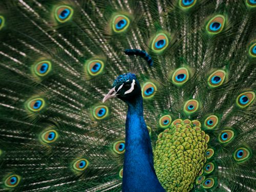 Fidélisons notre relation 